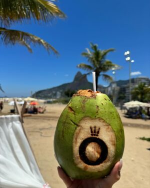 Flávia Viana Instagram - Errejota 💛💚
São 80 influenciadores do mundo todo vivendo o #PandoraInRio e está sendo MUITO especial! 
Ahhh Mar 🌊, gosto pouco né? 🤭👙☀️

#beach #praia #errejota #PandoraSquad24 #PandoraTakesRio #carnaval