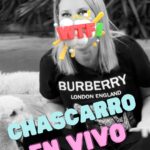 Flaviana Seeling Instagram – ¡Todos tenemos chascarros en la vida! 😜

Este fue uno que me marcó y sacó muchas risas! Que lo disfruten!! 😂
.
.
#chascarrosdetv #flavianaseeling #tvmas #soyvibrante #lifestyle

@somosunplato 
@josefurnaro 
@alvaro_lois 
@crehbein 
Los extraño amigos 🤍