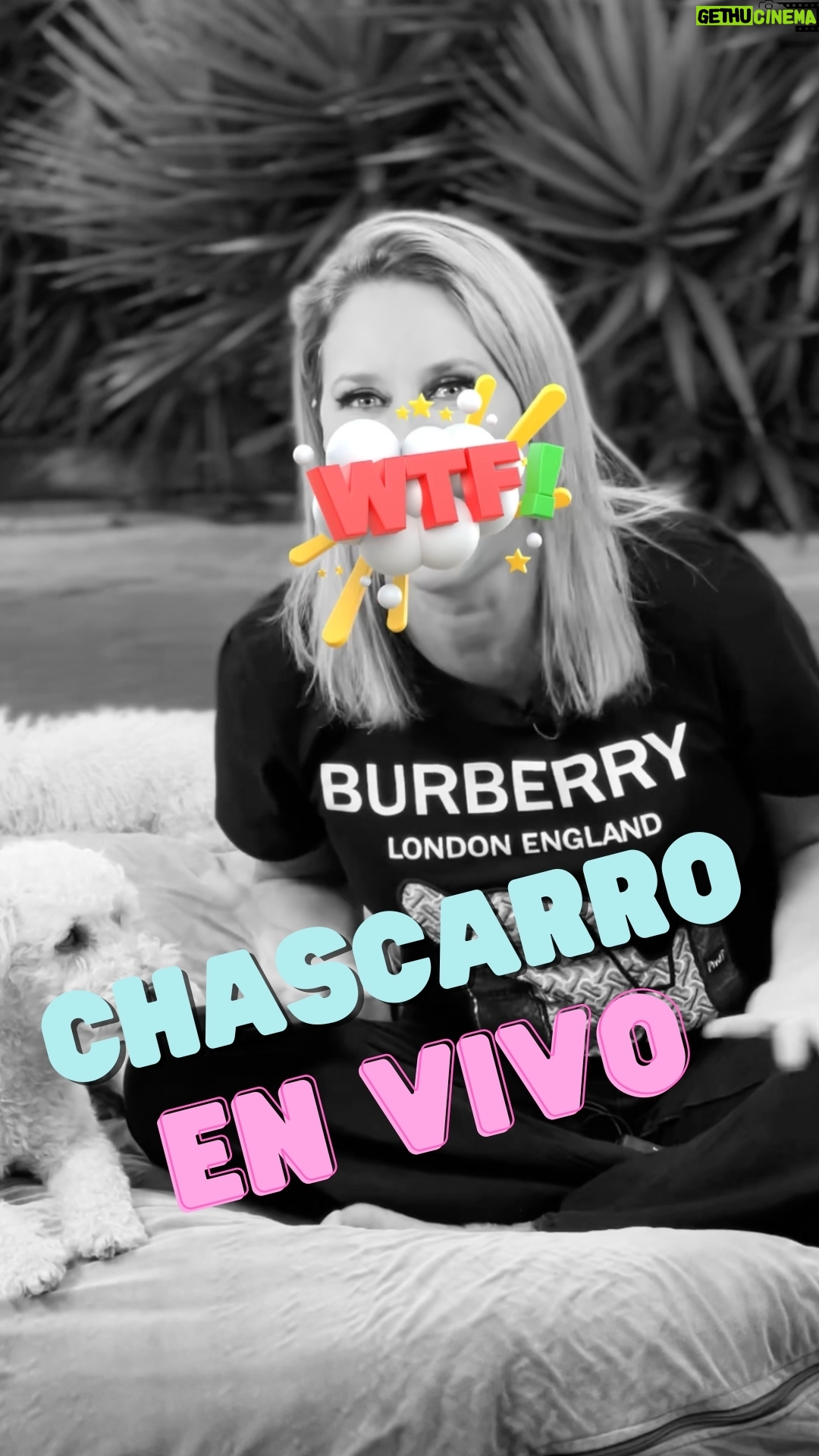 Flaviana Seeling Instagram - ¡Todos tenemos chascarros en la vida! 😜 Este fue uno que me marcó y sacó muchas risas! Que lo disfruten!! 😂 . . #chascarrosdetv #flavianaseeling #tvmas #soyvibrante #lifestyle @somosunplato @josefurnaro @alvaro_lois @crehbein Los extraño amigos 🤍