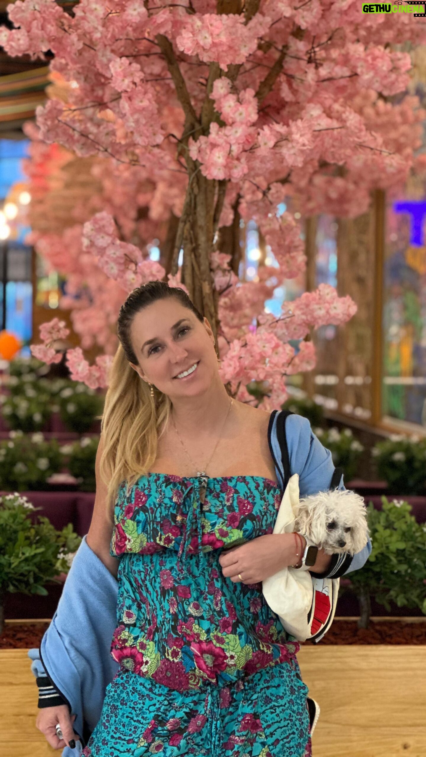 Flaviana Seeling - 4.9K Likes - Han sido dias con tantas cosas que ni imaginan! Con Alegrías, retos, penas… pero unidos y con mucho amor 💖
Eso es lo que hace la conexión con tu gente, con tu familia, a mi me recarga pasar tiempo de calidad ellos, me hace agarrar la fuerza necesaria y la motivación para continuar y lograr mis objetivos💖
Y tú? Cómo recargas tus baterías 🔋?