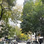 Florencia de la V Instagram – La belleza de las líneas simples.