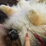 Florencia de la V Instagram – Solo es vida si es real 🤍