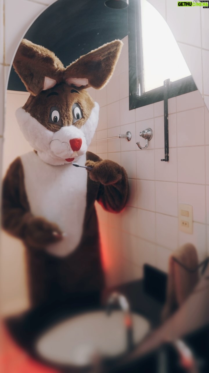 Foquinha Instagram - E se um coelhão desse aparece na sua sala com uma cesta de @nestlechocolates ? 🗣️ Vocês já tão ligados que eu AMO ver um BBB comendo Choco Trio, né?! Agora, juntou esse combo com Ovo Classic Nestlé… affff, match perfeito nessa Páscoa! Ps: reconheceram o coelhão pela maozinha? HAHA! #ChocoMatch #ChocoTrionoBBB24 *publi