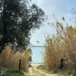 Francesca Chillemi Instagram - Un po’ di…?