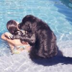 Francini Amaral Instagram - Que difícil y triste va ser escribir este post. Santo falleció en la madrugada y tengo el corazón roto. El alma partida en pedazos… no me conformo … Tan noble, tan compañero, tan baboso, tan buen perro… 7 años de mucho amor … nos dejaste millones de lindos recuerdos … Somos muchos los que lloramos tu partida Santito… eras único!!! Ahora puedes jugar con tu hermano Romeo y tu chica Boo… Te extraño y te extrañaré siempre … Te amo Santito