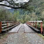 Francini Amaral Instagram - Rifa de parcela en Carretera Austral ❤️ Por solo 20.000 pesos podrás tener esta hermosa parcela en primera línea… con una vista maravillosa y un entorno soñado 💙… Les dejo el Instagram de la rifa para que vean toda la información… @tuparcelaencarreteraaustral Look: suéter @shein_chile código 12694534 Código de descuento : FRANCINIAMARAL #rifaencarreteraaustral #rifaparcela #carreteraaustral #hualaihue #SHEIN #SHEINforAll #invierno