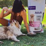 Francini Amaral Instagram - 🐶❤️ Hace un mes mis cachorros empezaron a comer Virbac… Es un alimento francés , alto en proteína, bajo en carbohidratos y con un perfil preventivo de enfermedades... Les gusta tanto que tb lo utilizo como premio ❤️