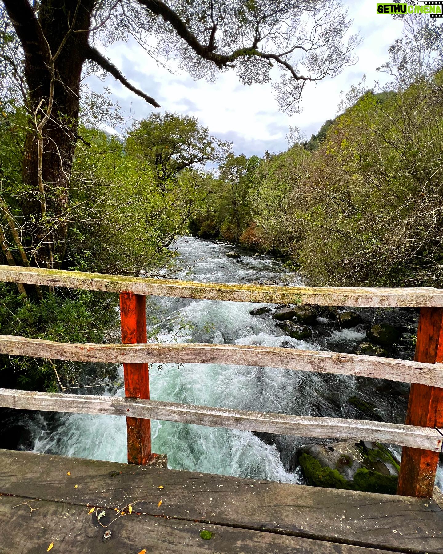 Francini Amaral Instagram - Rifa de parcela en Carretera Austral ❤️ Por solo 20.000 pesos podrás tener esta hermosa parcela en primera línea… con una vista maravillosa y un entorno soñado 💙… Les dejo el Instagram de la rifa para que vean toda la información… @tuparcelaencarreteraaustral Look: suéter @shein_chile código 12694534 Código de descuento : FRANCINIAMARAL #rifaencarreteraaustral #rifaparcela #carreteraaustral #hualaihue #SHEIN #SHEINforAll #invierno
