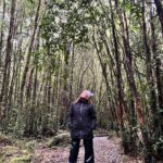 Francini Amaral Instagram - Rifa de parcela en Carretera Austral ❤️ Por solo 20.000 pesos podrás tener esta hermosa parcela en primera línea… con una vista maravillosa y un entorno soñado 💙… Les dejo el Instagram de la rifa para que vean toda la información… @tuparcelaencarreteraaustral Look: suéter @shein_chile código 12694534 Código de descuento : FRANCINIAMARAL #rifaencarreteraaustral #rifaparcela #carreteraaustral #hualaihue #SHEIN #SHEINforAll #invierno