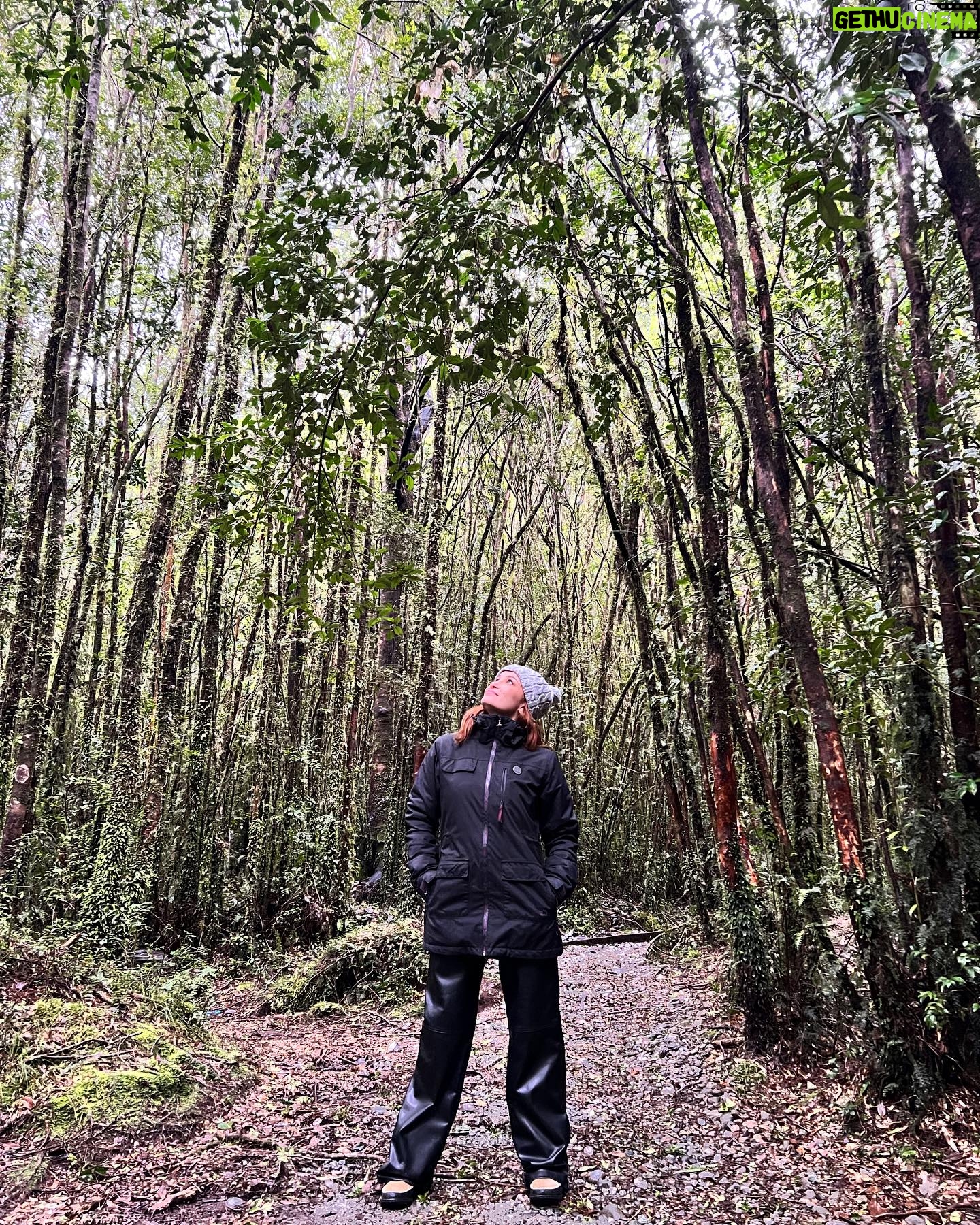 Francini Amaral Instagram - Rifa de parcela en Carretera Austral ❤️ Por solo 20.000 pesos podrás tener esta hermosa parcela en primera línea… con una vista maravillosa y un entorno soñado 💙… Les dejo el Instagram de la rifa para que vean toda la información… @tuparcelaencarreteraaustral Look: suéter @shein_chile código 12694534 Código de descuento : FRANCINIAMARAL #rifaencarreteraaustral #rifaparcela #carreteraaustral #hualaihue #SHEIN #SHEINforAll #invierno
