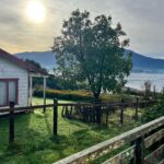 Francini Amaral Instagram - Rifa de parcela en Carretera Austral ❤️ Por solo 20.000 pesos podrás tener esta hermosa parcela en primera línea… con una vista maravillosa y un entorno soñado 💙… Les dejo el Instagram de la rifa para que vean toda la información… @tuparcelaencarreteraaustral Look: suéter @shein_chile código 12694534 Código de descuento : FRANCINIAMARAL #rifaencarreteraaustral #rifaparcela #carreteraaustral #hualaihue #SHEIN #SHEINforAll #invierno