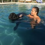 Francini Amaral Instagram - Que difícil y triste va ser escribir este post. Santo falleció en la madrugada y tengo el corazón roto. El alma partida en pedazos… no me conformo … Tan noble, tan compañero, tan baboso, tan buen perro… 7 años de mucho amor … nos dejaste millones de lindos recuerdos … Somos muchos los que lloramos tu partida Santito… eras único!!! Ahora puedes jugar con tu hermano Romeo y tu chica Boo… Te extraño y te extrañaré siempre … Te amo Santito