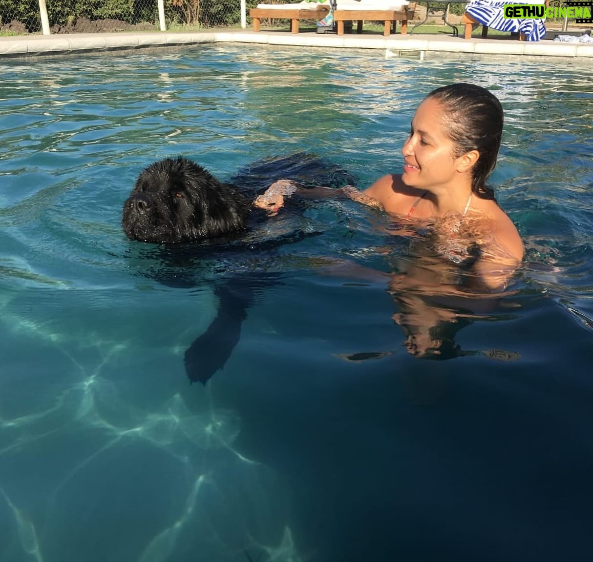 Francini Amaral Instagram - Que difícil y triste va ser escribir este post. Santo falleció en la madrugada y tengo el corazón roto. El alma partida en pedazos… no me conformo … Tan noble, tan compañero, tan baboso, tan buen perro… 7 años de mucho amor … nos dejaste millones de lindos recuerdos … Somos muchos los que lloramos tu partida Santito… eras único!!! Ahora puedes jugar con tu hermano Romeo y tu chica Boo… Te extraño y te extrañaré siempre … Te amo Santito
