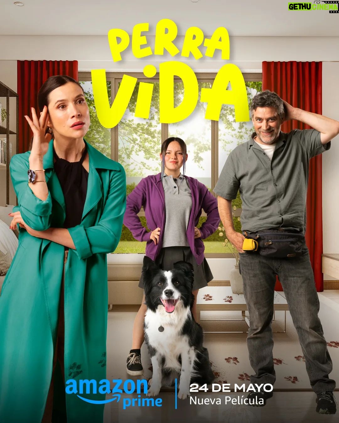 Francisca Aronsson Instagram - Su hija se alejó de ella y él perdió a su perra, pero el destino pondrá sus vidas patitas arriba. 🐾 #PerraVida, desde el 24 de mayo #MíraloEnPrimeVideo