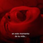 Francisca Estevez Instagram - Están cada vez más cerca Los Billis, la pandilla de niños “bien” que aterrorizó a toda una ciudad en los 80’s 🖤 #LosBillis #PrimeVideoLat @primevideolat