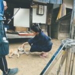 Fuka Koshiba Instagram - BS時代劇「あきない世傳　金と銀」 本日、第2回　＂それぞれの道＂の放送です☺︎ NHK BS・NHK BSプレミアム4K 19:30〜 ぜひご覧ください☺︎✨ #あきない世傳金と銀 #幸と早太郎