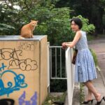 Fumi Nikaido Instagram - 🐈👗