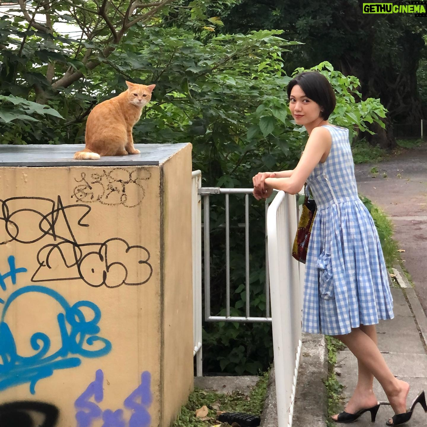 Fumi Nikaido - 50.5K Likes - šš