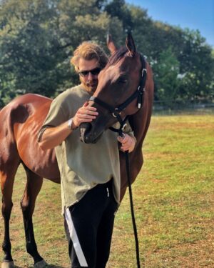 Furkan Palalı Instagram - 🐴
