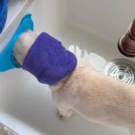 Génesis Rodríguez Instagram – Bro bath time is hilarious