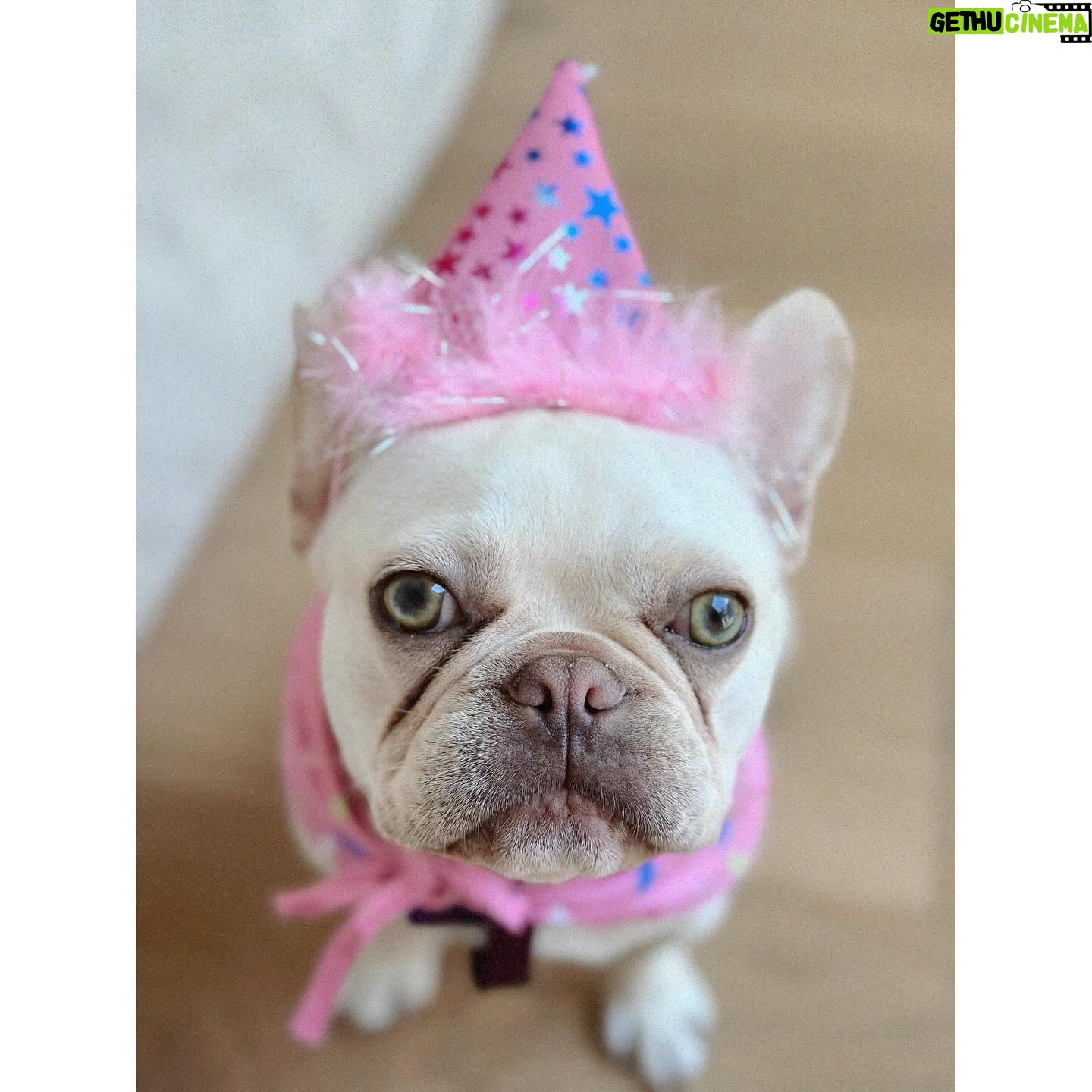 Génesis Rodríguez Instagram - Charlie Girl 🎂 she’s brought us so much joy and love.