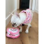 Génesis Rodríguez Instagram - Charlie Girl 🎂 she’s brought us so much joy and love.