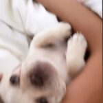 Génesis Rodríguez Instagram – My buddy is growing up so quickly 🥹

And let me tell she is such a good girl