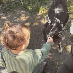 Gabby Barrett Instagram - Crazy! The last time we were at this pumpkin patch, I was pregnant with Baylah & now she’s feeding the goats like a natural! (Now pregnant with her brother lol) Time flies. What a JOY she is. 🤍🎃