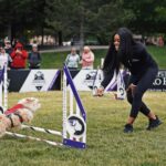 Gabby Douglas Instagram - a few weeks ago, chandler and i got to see some amazing dogs flip, fly and soar through the air at the @ProPlan #IncredibleDog Challenge. tune in to see some REALLY athletic dogs compete – and an appearance by yours truly. 👩🏽go to https://puri.na/2ZlnsuD to see when it will be on TV in your city. #Ad 💋