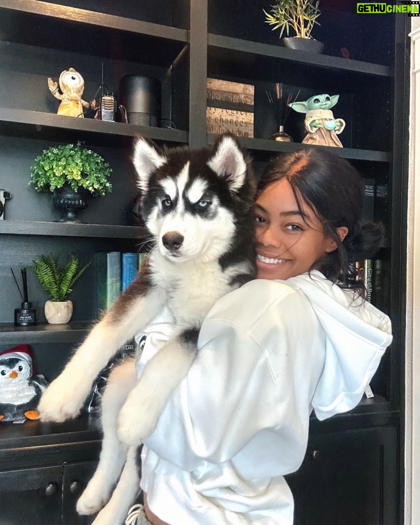 Gabby Douglas Instagram - guys!! meet max! 🥹 the newest member of the fam 😍🖤