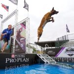 Gabby Douglas Instagram - chandler and i are flying high out at the @ProPlan #IncredibleDog Challenge today! i’ve got to say, it takes A LOT of dedication to pull off some of the performances we’re seeing here today. go to ProPlan.com/Incredible to see when it will be on TV in your city. #Ad