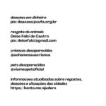 Gabi Melim Instagram - oi meus amores, como vocês sabem o rio grande do sul tá passando por uma situação muito complicada por contas das fortes chuvas e infelizmente existe previsão de mais chuva para a região nos próximos dias, o que pode prejudicar muito quem ainda espera por resgate. muitas pessoas perderam tudo, muitas seguem desaparecidas e muitas que foram resgatadas ainda não conseguiram encontrar familiares ou seus animais de estimação. deixei aqui algumas formas de ajudar! doem quanto puder, toda e qualquer ajuda é valida e muito necessária nesse momento 🤍🙏🏻