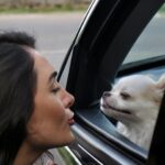 Gabi Melim Instagram - meus finais de tarde são muito mais lindos e iluminados depois que eu descobri o Turbi!! agora consigo sempre chegar nos meus compromissos na hora certa e, com muito mais praticidade e economia tendo um carro por assinatura. depois que eu assinei o Turbi tá bem mais fácil tirar do papel aquela viagem ou rolê que eu tava planejando há tempos, fazer minhas compras, levar o dimdim pra passear, e curtir um pôr do sol maravilhoso como esse! eu vou de Turbi e você? @vaideturbi #publi