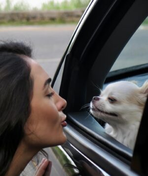 Gabi Melim Instagram - meus finais de tarde são muito mais lindos e iluminados depois que eu descobri o Turbi!! agora consigo sempre chegar nos meus compromissos na hora certa e, com muito mais praticidade e economia tendo um carro por assinatura.

depois que eu assinei o Turbi tá bem mais fácil tirar do papel aquela viagem ou rolê que eu tava planejando há tempos, fazer minhas compras, levar o dimdim pra passear, e curtir um pôr do sol maravilhoso como esse! 

eu vou de Turbi e você? @vaideturbi #publi