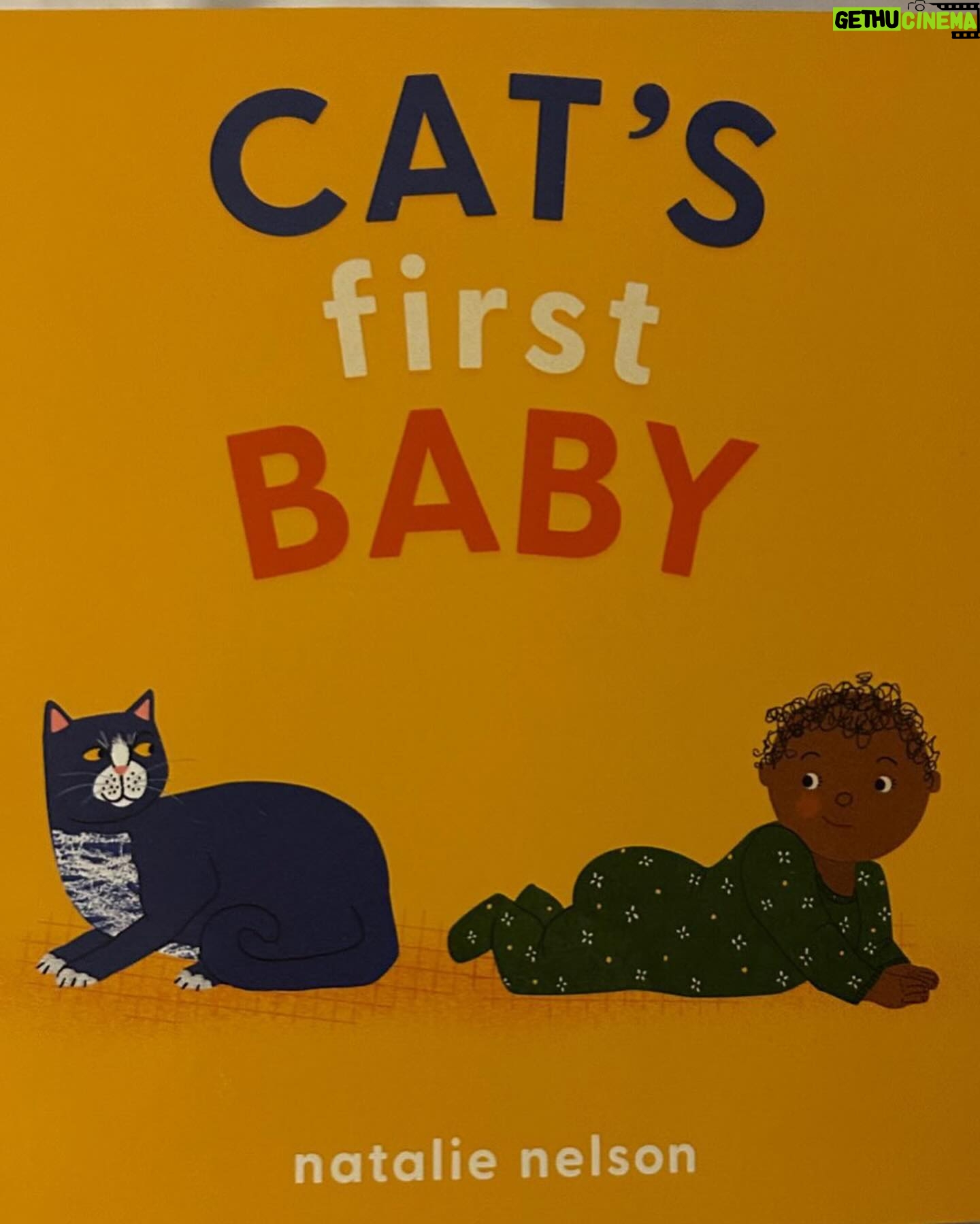 Gabourey Sidibe Instagram - All hands on deck! @derrelljermainedupree is ready for the responsibility. Thanks Auntie @brandyzblessed for finding the perfect book to prepare the cats to be big brothers.