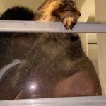 Gabourey Sidibe Instagram - “This that ‘outside’ y’all been talkin bout?..... It stank. I hate it.”