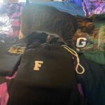 Gabourey Sidibe Instagram - Got some super cute stuff from @steuben.vintage.closet and @derrelljermainedupree immediately got to work shedding on them to make sure every inch is covered in cat hair to match the rest of my clothes.