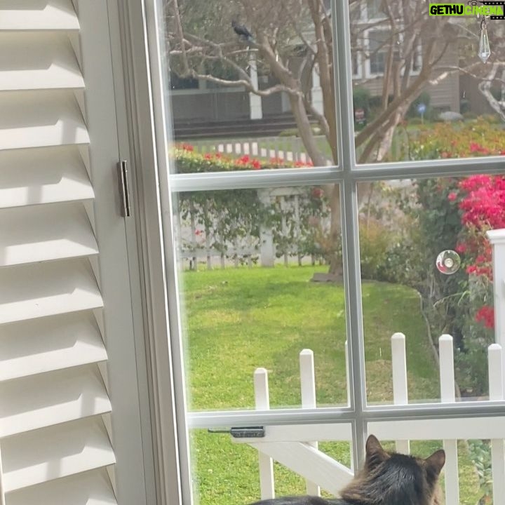 Gabourey Sidibe Instagram - You in the wrong neighborhood Bird! Who you know round here??!?!