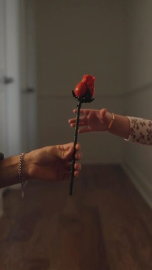 Gabriel Conte Instagram - Valentine’s Day looks a little different now 🌹 @lego #ad #LEGOCollective