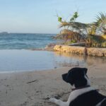 Gabriela Fadel Instagram – Eu nunca fui triste e se alguém disser que eu fui é mentira