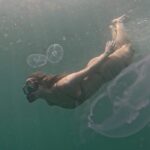 Gabriela Fadel Instagram – Oi, eu mergulhei com milhares de águas-vivas (que não queimam)
Em breve vai ter tudo no canal :)