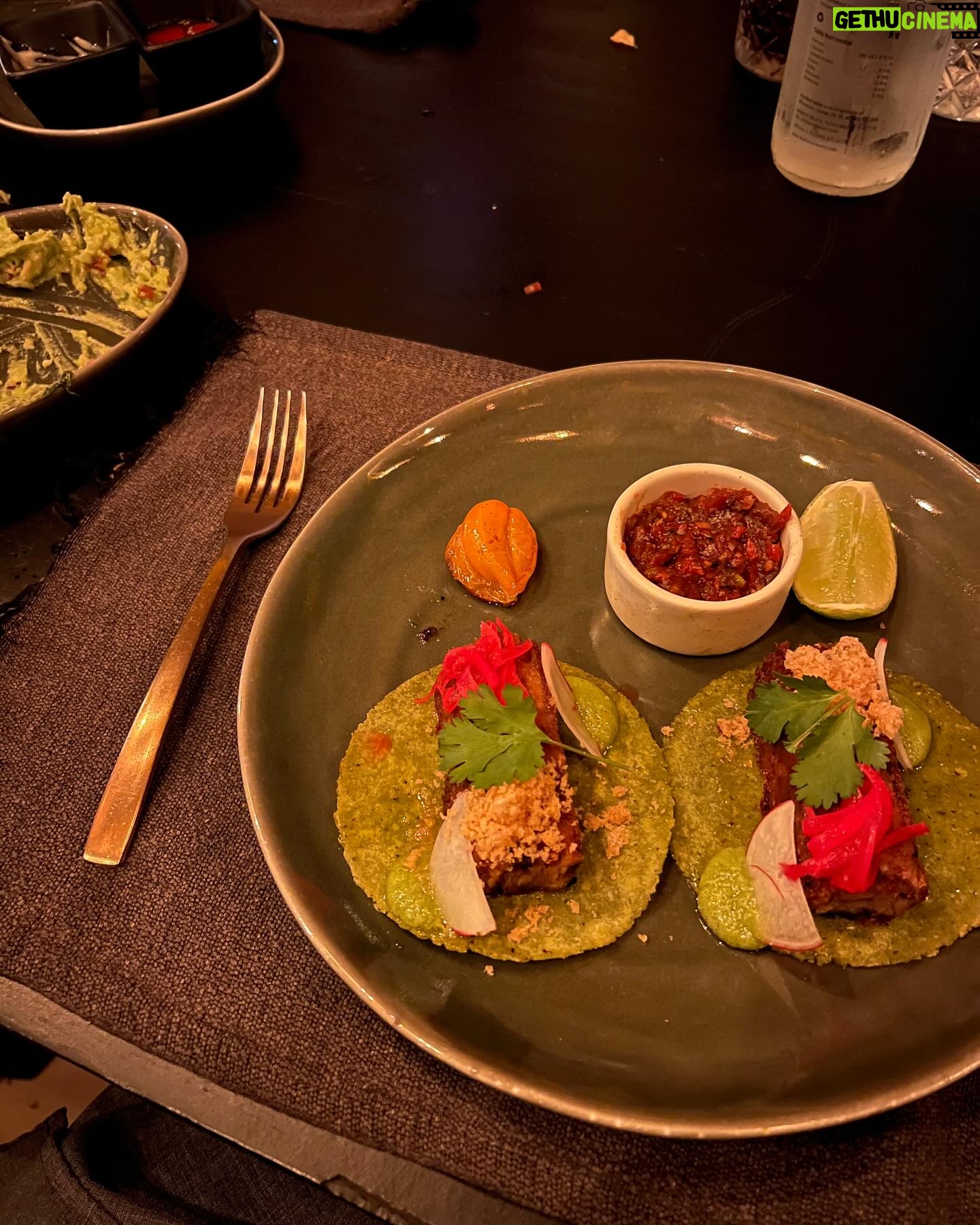 Gabriela Fadel Instagram - Guacamole, biquínis, risadas e coisas que não vamos mencionar na internet