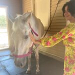Gabriella Pizzolo Instagram – the Hampton Classic got a visit from all of us supporting the @equusfoundation for their show opening! loved working with the new veterinary school at LIU promoting animal rescue, rights and adoption! also swipe to meet an equine friend of mine!!! #opttoadopt