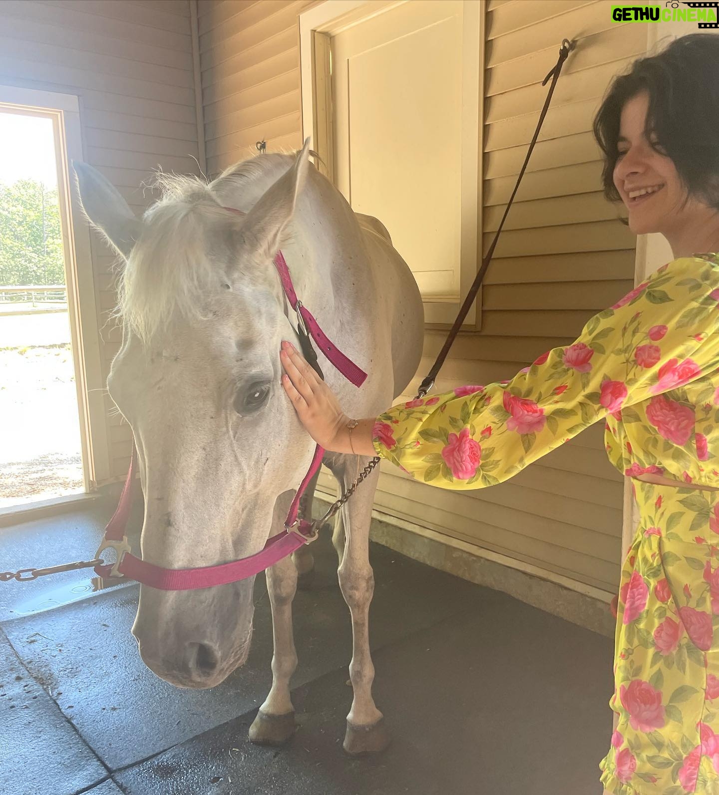 Gabriella Pizzolo Instagram - the Hampton Classic got a visit from all of us supporting the @equusfoundation for their show opening! loved working with the new veterinary school at LIU promoting animal rescue, rights and adoption! also swipe to meet an equine friend of mine!!! #opttoadopt
