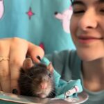 Gabriella Pizzolo Instagram - WARNING: adorable pet! this Sunday, #StupidPetTricks with Sarah Silverman will take over on @TBSnetwork. my pets may be different than some, but they know a bunch of tricks! looking cute is the main one, but swipe to see a trick at the end and be sure to tune on Sunday!