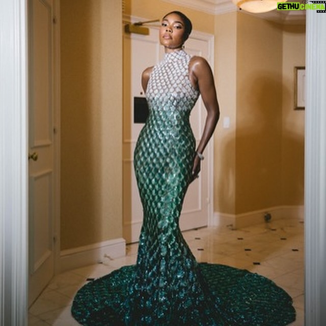 Gabrielle Union Instagram - Stepped on the carpet and parted the sea #MetGala