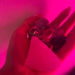 Gaia Gozzi Instagram -