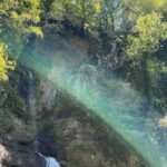 Gaia Gozzi Instagram – Sampling bits of life