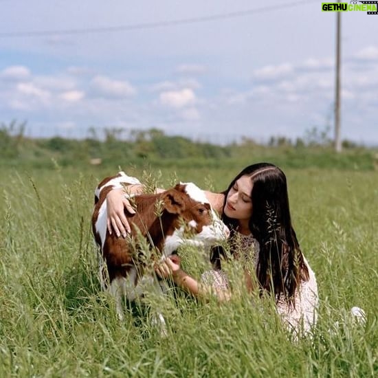Gaia Gozzi Instagram - Scappare, anche solo per un giorno, dalla città caotica è sempre un piacere. Se poi la meta è la campagna lombarda per scambiare due chiacchiere con Gaia ancora meglio. Ecco cosa ci ha raccontato, tra una riflessione generale e profonda sull’universo e un riferimento alla sua vita lavorativa e personale. L’intervista completa è al link in bio. - Escaping, even just for a day, from the chaotic city is always a pleasure. And if the destination is the countryside to exchange a few words with Gaia, even better. Here’s what she told us, amidst thoughtful reflections on the universe and references to her work and personal life. The full interview is available at the link in bio. Photographer @anna_adamo Ph. Assistant @veronica_brunoni Stylist @tiny_idols Stylist Assistant @martinaghia Make Up @giovanni_zummo_mua Hair @hairbyalfred Artist @gaiaofficial Interview @pinkspacedude