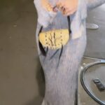 Gaia Gozzi Instagram – @acnestudios day ‘n night